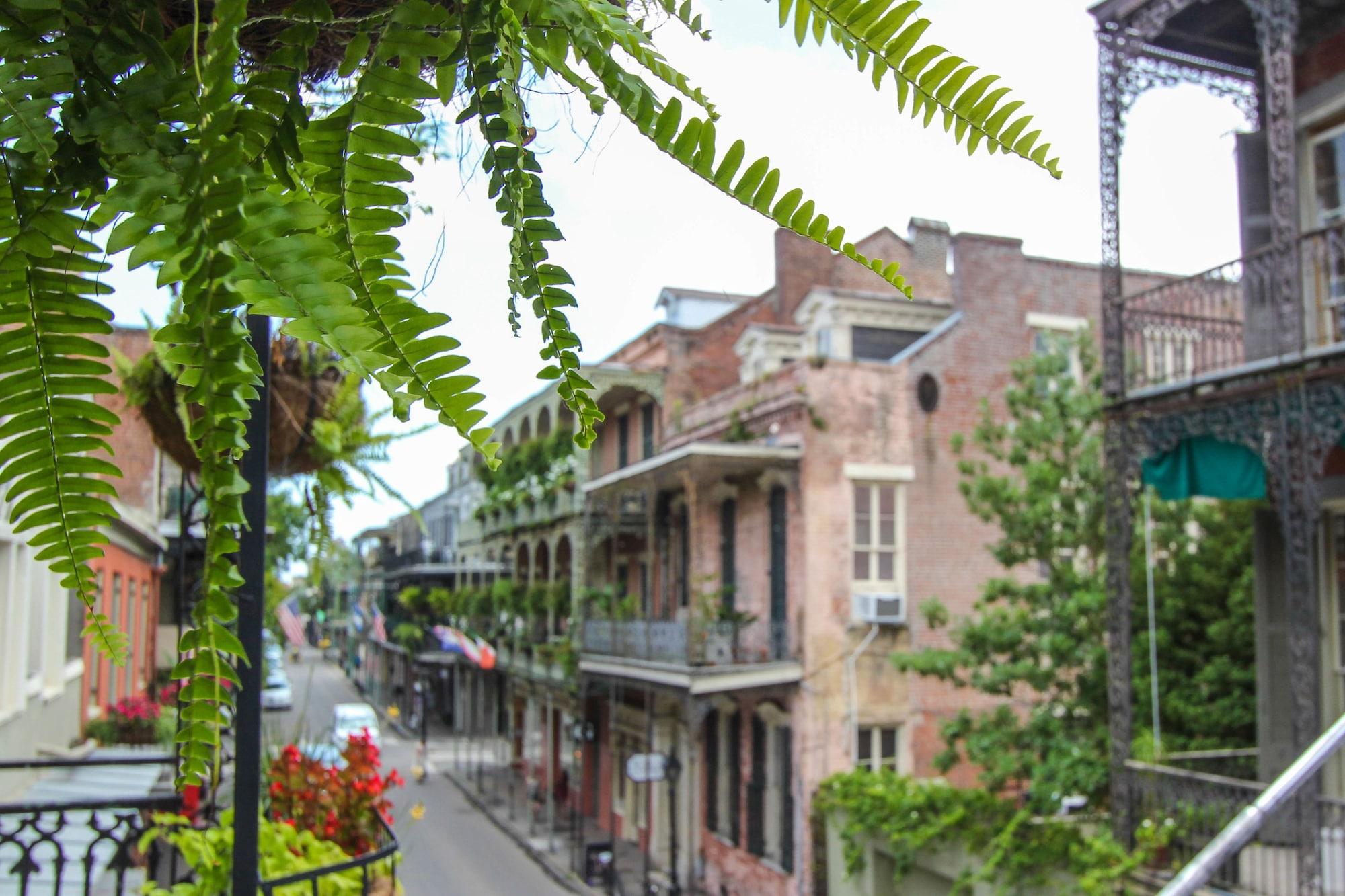 Andrew Jackson Hotel French Quarter Nueva Orleans Exterior foto